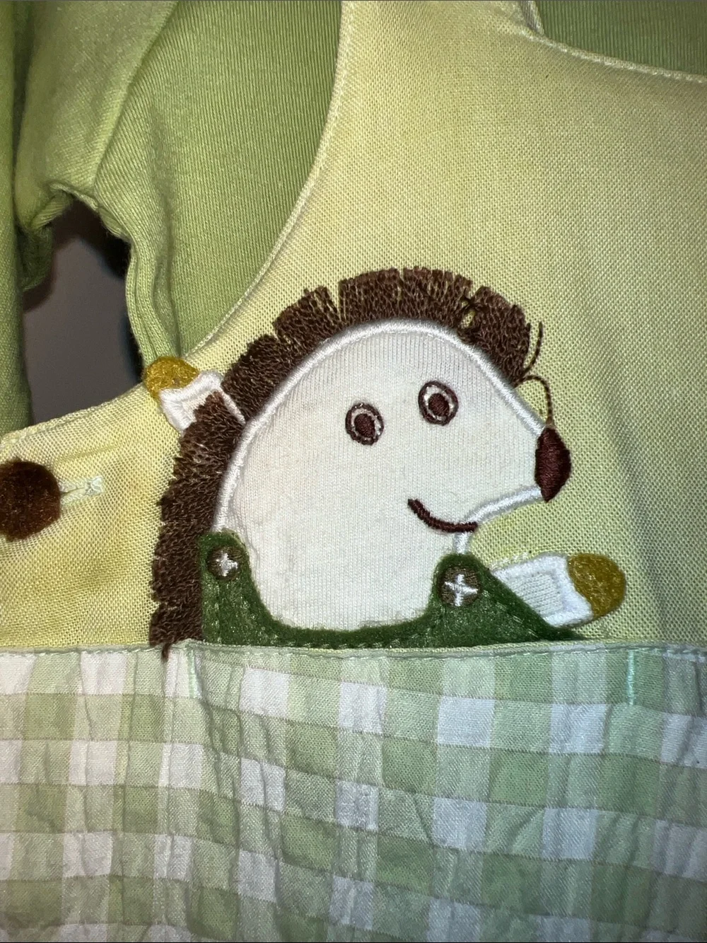 Catimini Light Green Gingham Seersucker Overalls Set with Appliqué & Match Socks